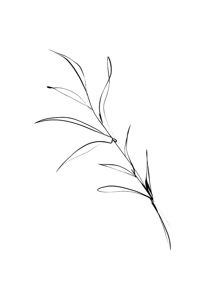 Simple stories no 30