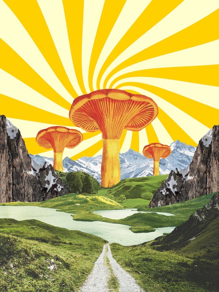 Mushroom Vibes