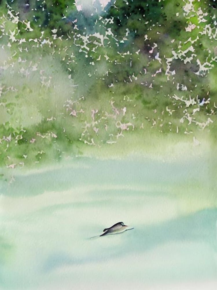 Aquarelle de raie, style conte