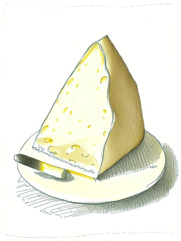 Provolone Dairy Food Pencil Illustration