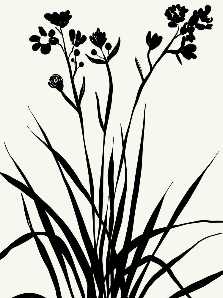 Silhouetted of a Grass Black and White Botanical