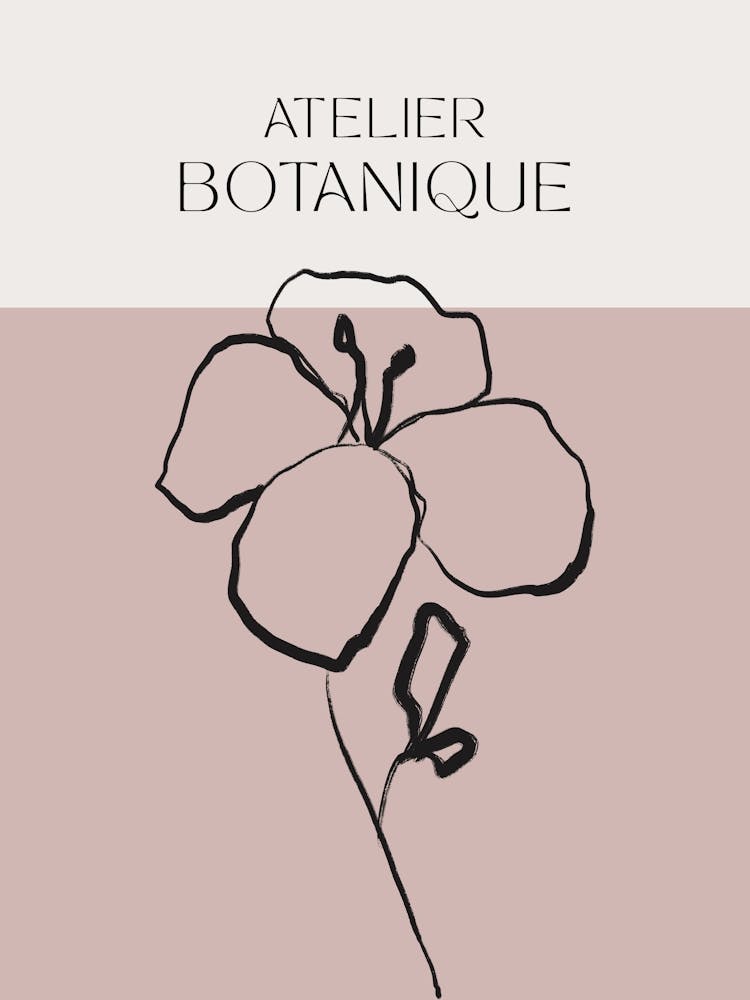 Atelier botanique