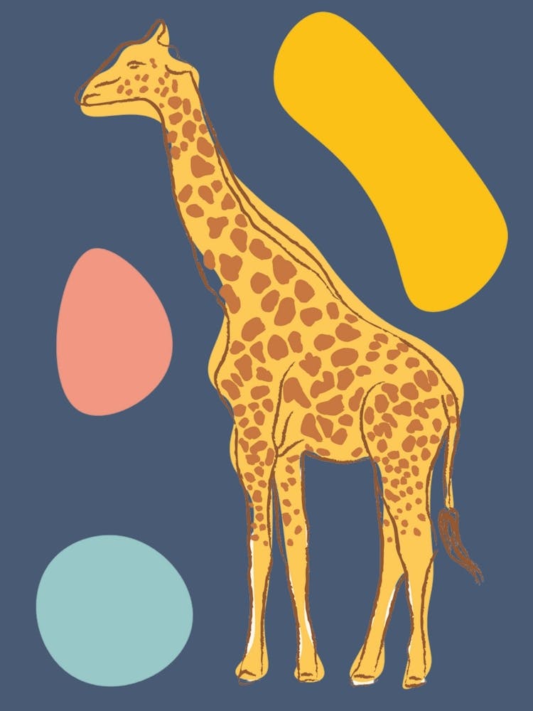 Giraffe 16