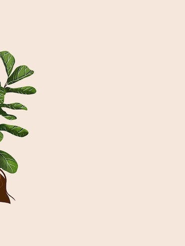 Sierra Botanical Fairy