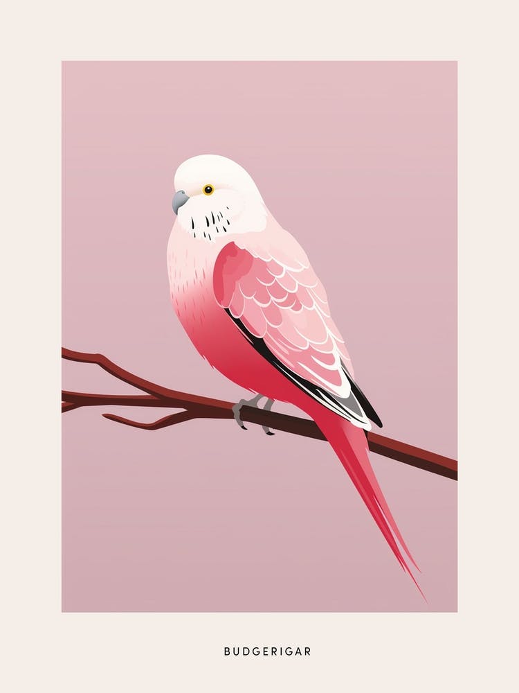 Minimalist Budgerigar 1 Bird Poster