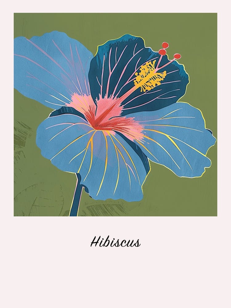 Hibiscus 2 Square Flower Illustration Poster