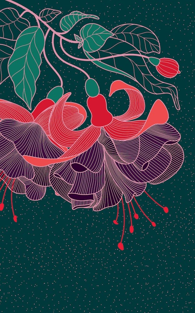 Fuchsia Flower