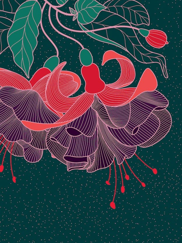 Fuchsia Flower