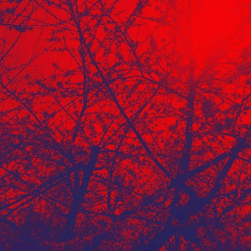Ciel Rouge