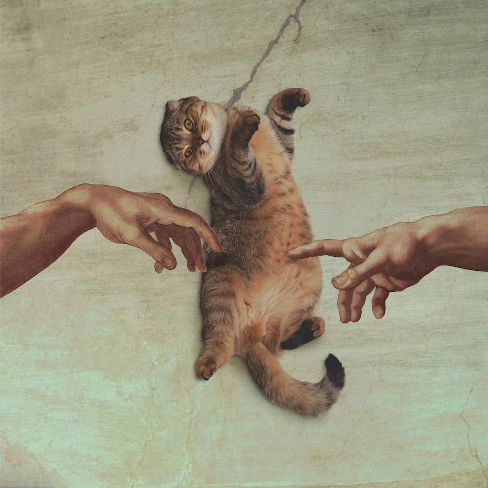 Touch Of A Kitty Square