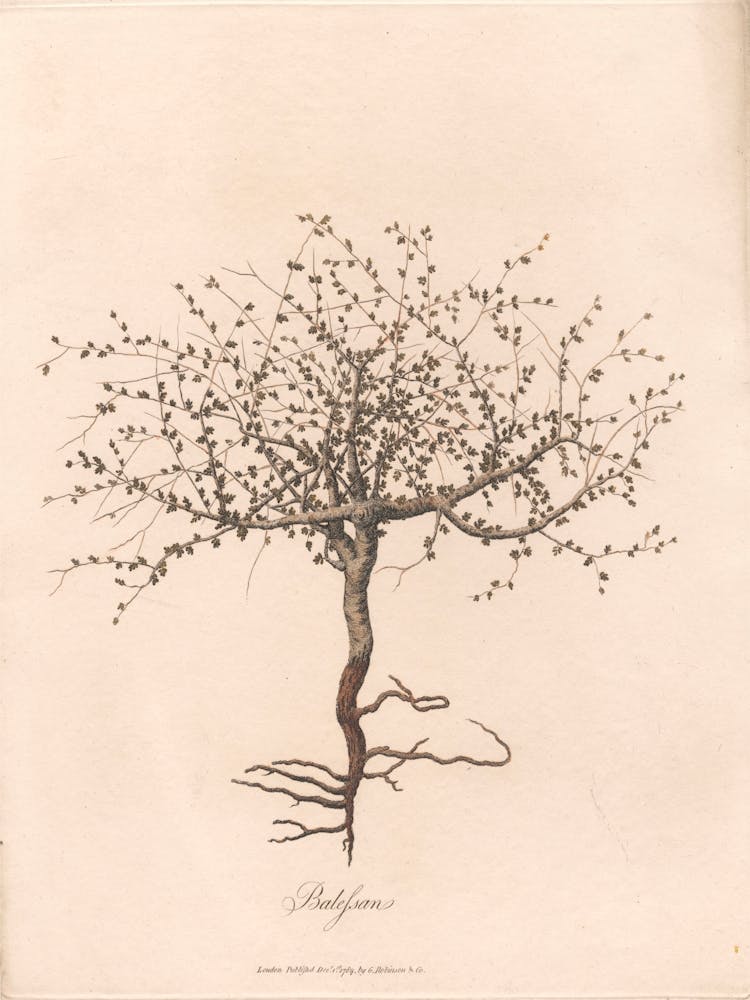 Balessan, James Heath