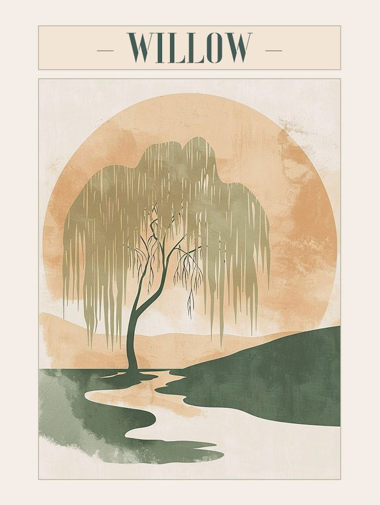 Willow Tree Minimal Japandi Illustration 4 Poster