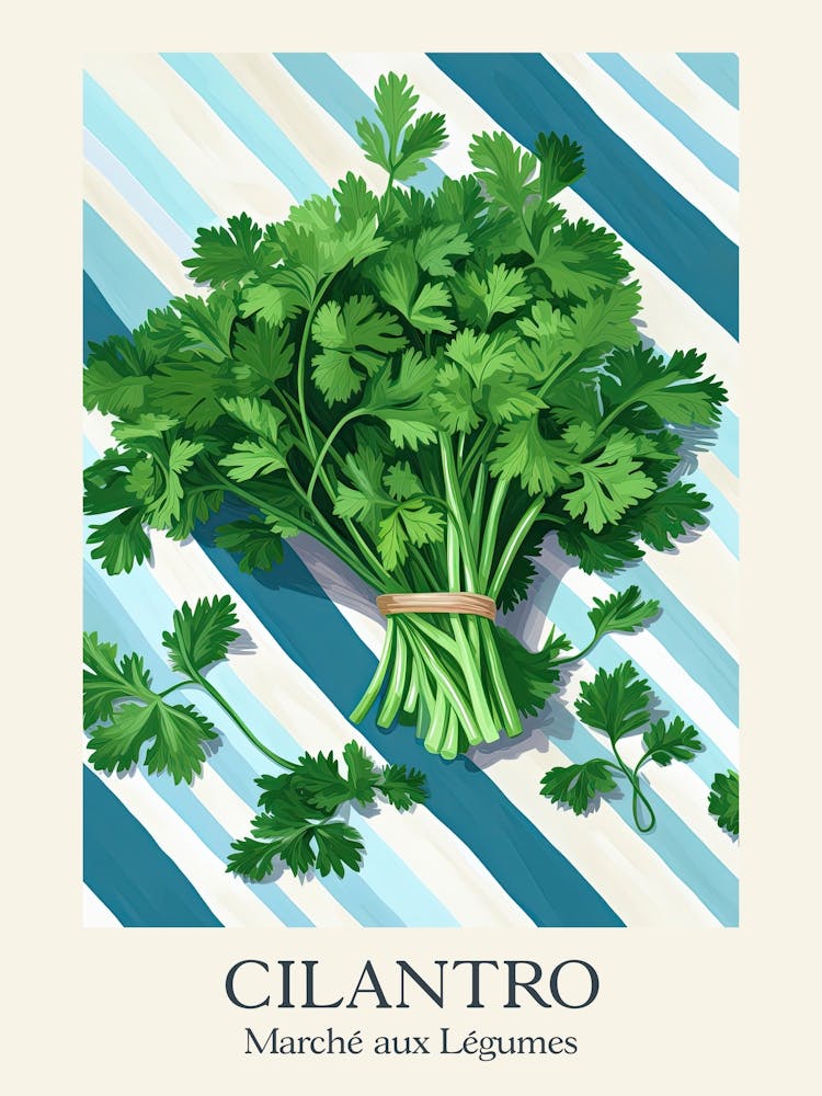 Marche Aux Legumes Cilantro Summer Illustration 10