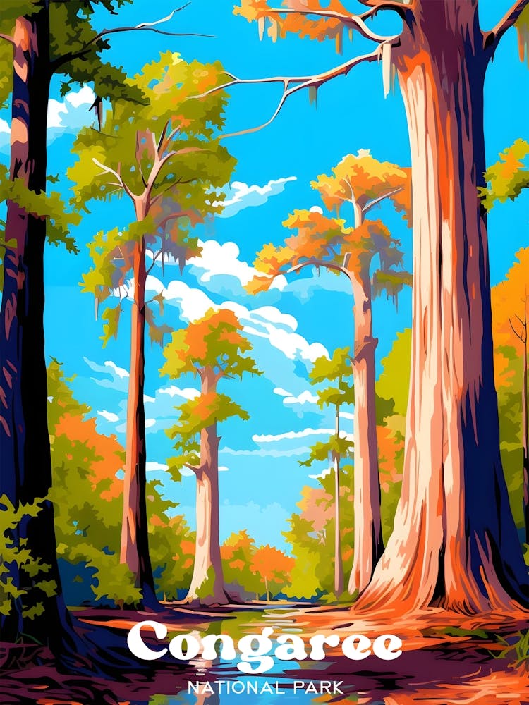 Congaree National Park Camping Modern Travel Illustration
