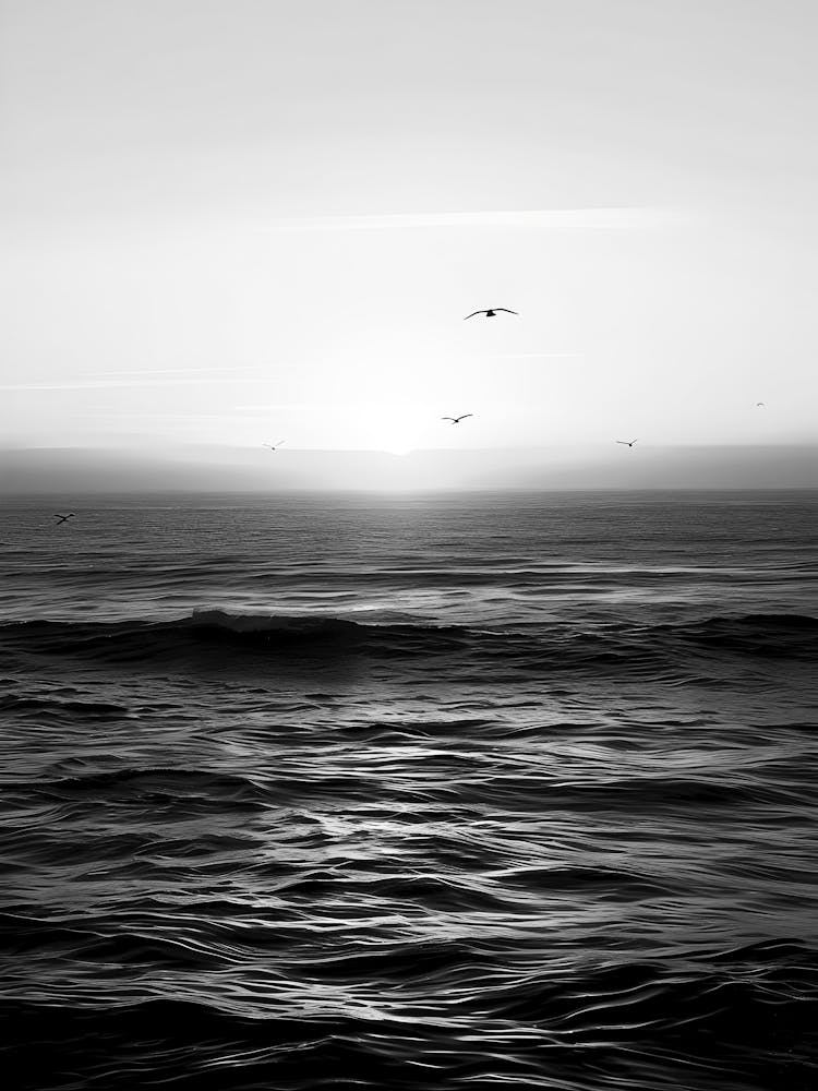 Lever de Soleil Sur L'Océan 1