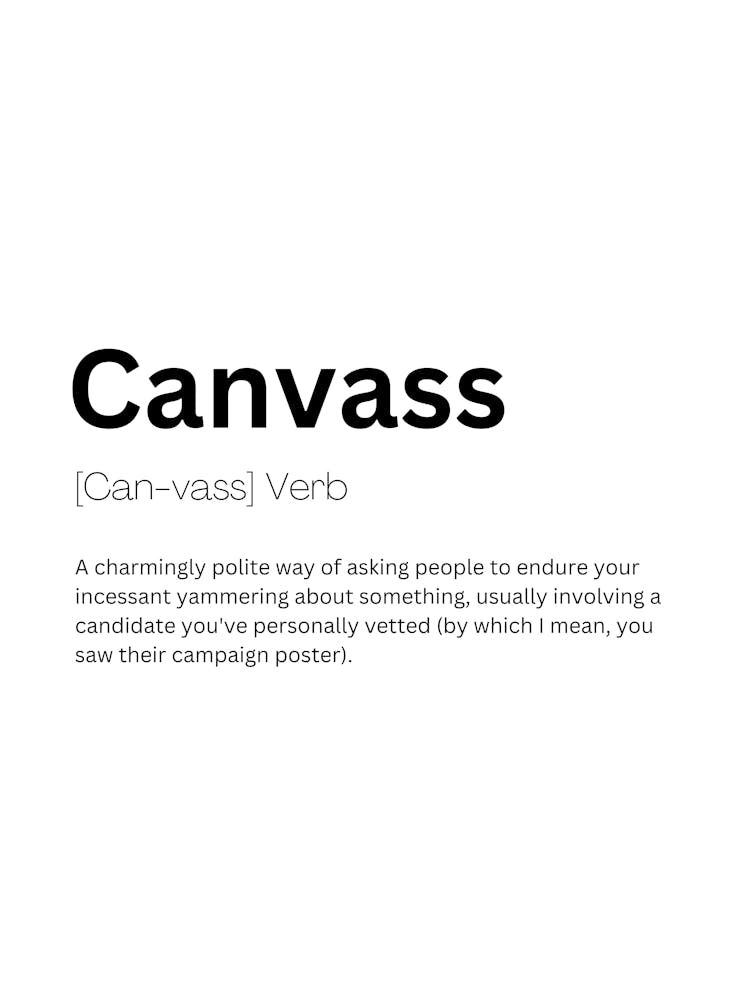 Canvass Definition Meaning