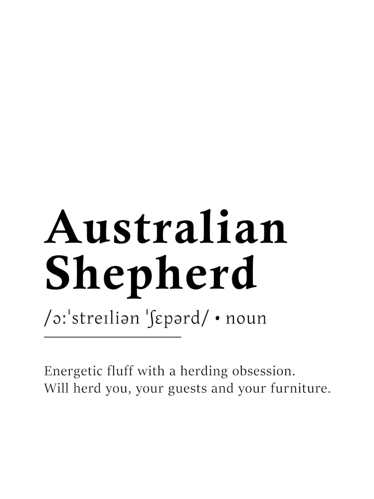 Australian Shepherd Definition Poster - Dictionary