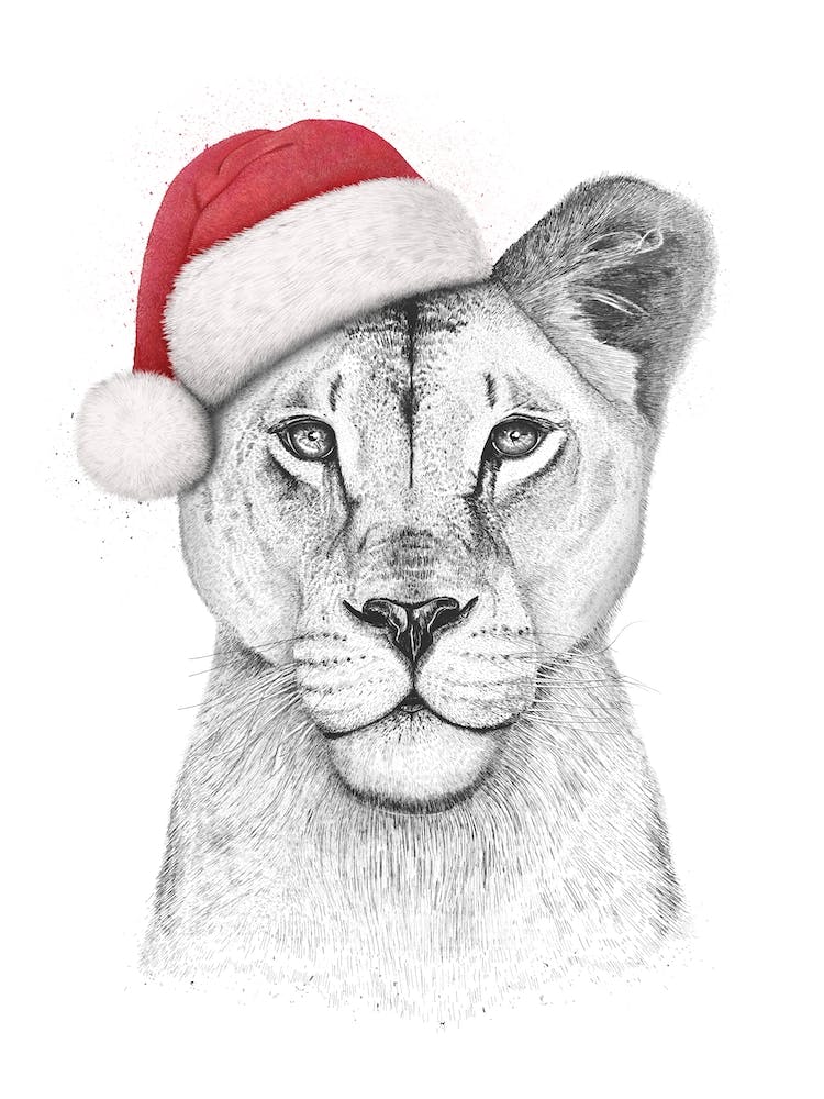 Christmas Lioness