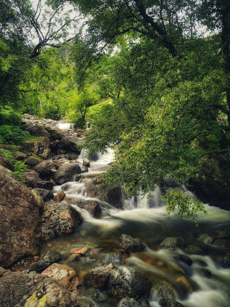 The energy of nature