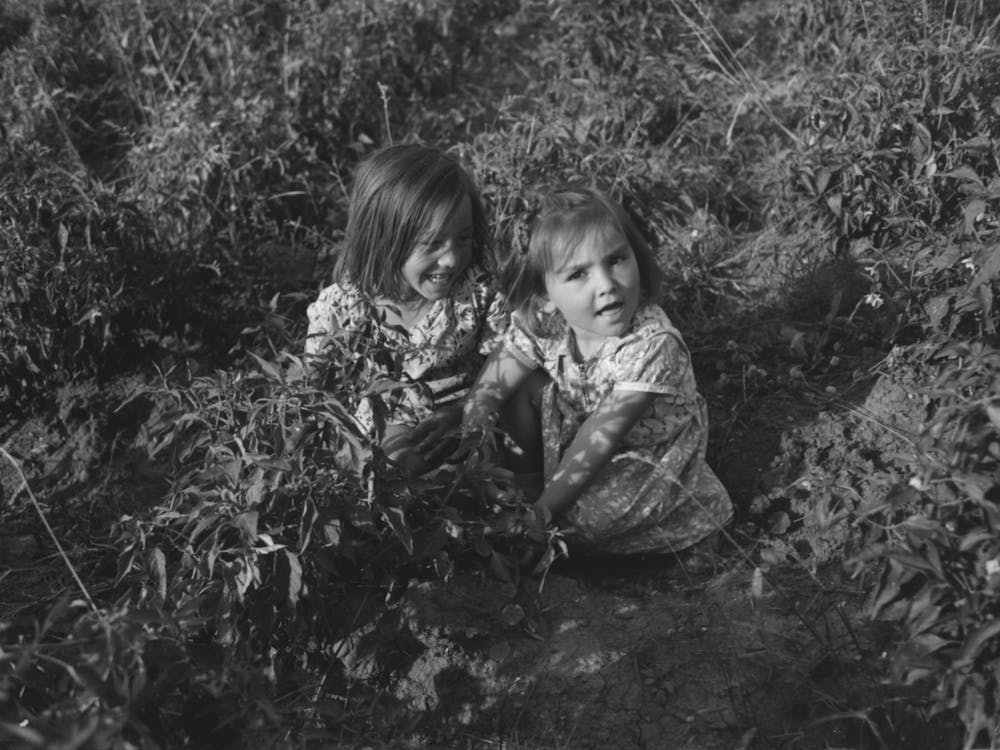 Untitled Photo, Possibly Related To Children Of Farmers In Chili Pepper Field, Concho, Arizona By Russell Lee