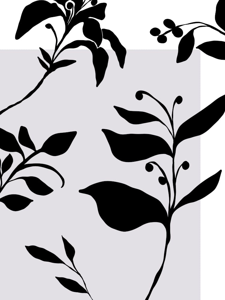 Delicate line no 30