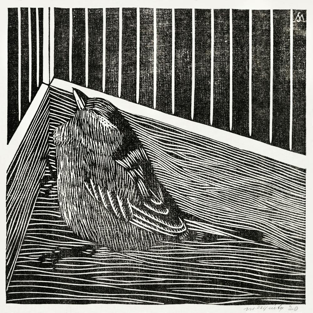 Bird In The Corner Of A Cage(c.1914), Samuel Jessurun