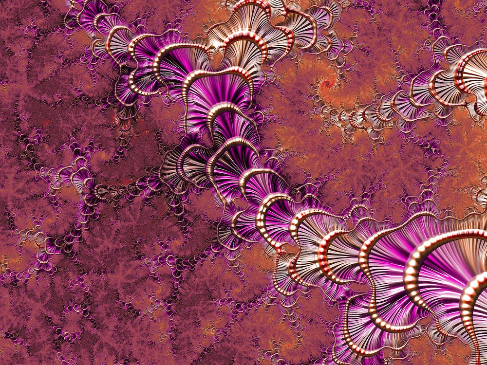 Fractal 43 1