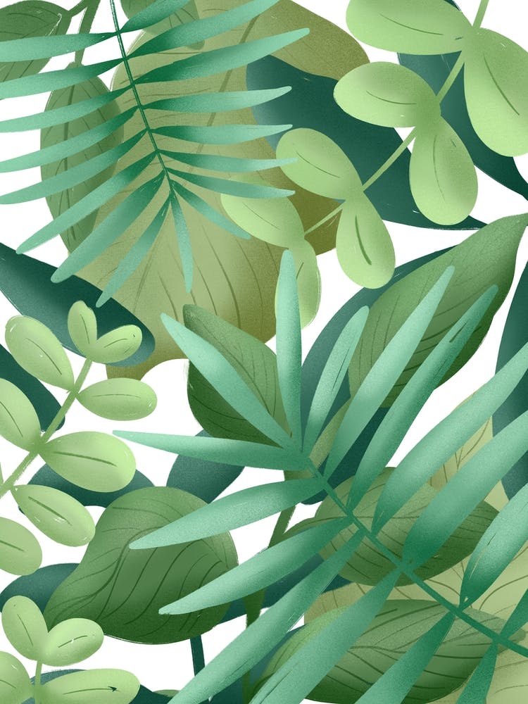 Feuilles de Jungle