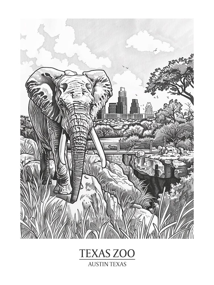 Zoo Austin Texas Black And White Drawing 2 Poster