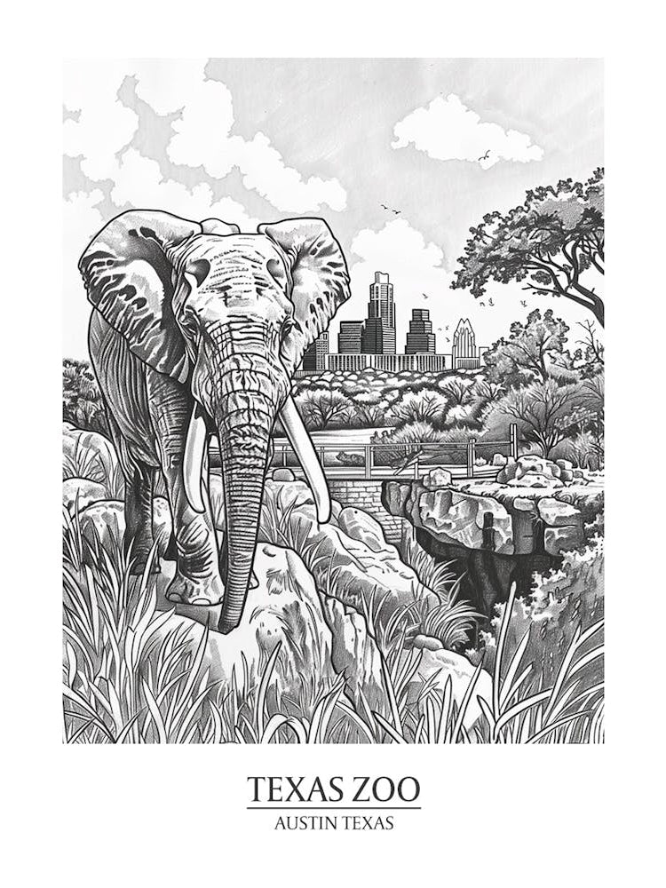 Zoo Austin Texas Black And White Drawing 2 Poster