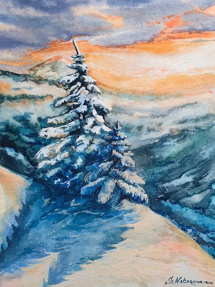 Trees On The Slope Of The Mountain