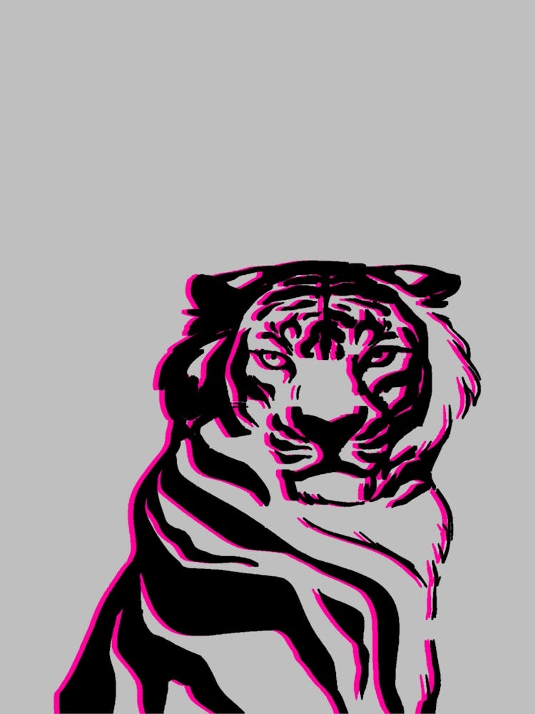 Tiger 8