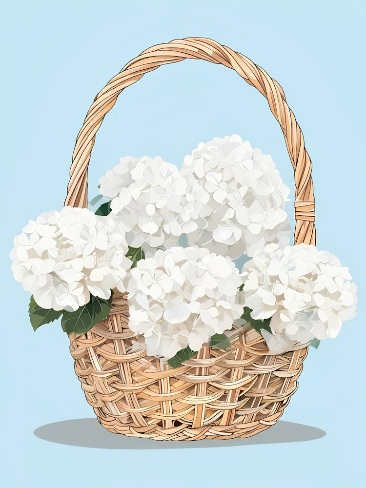 Hydrangea Basket