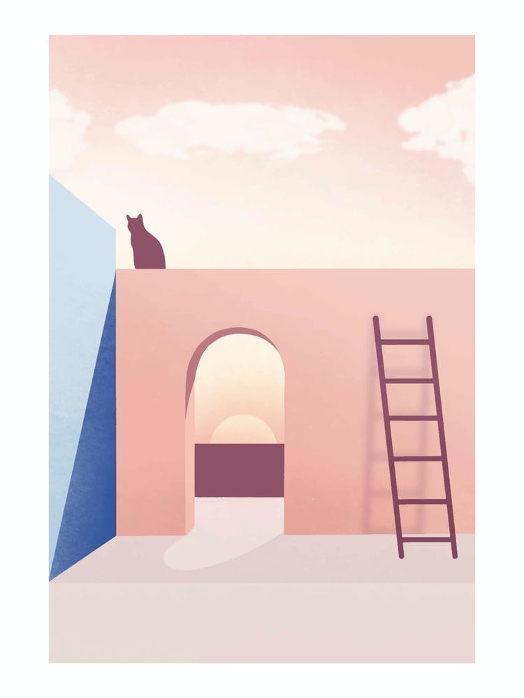 Cat On A Ladder