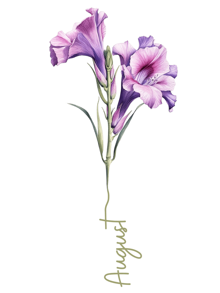 Gladiolus Birth Flower Birth Month Botanical