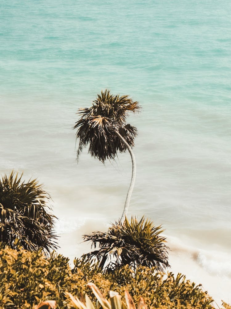 White Sandy Beach