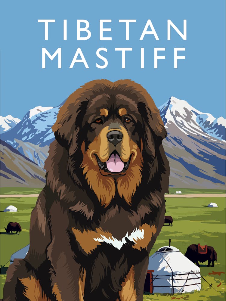 Tibetan Mastiff