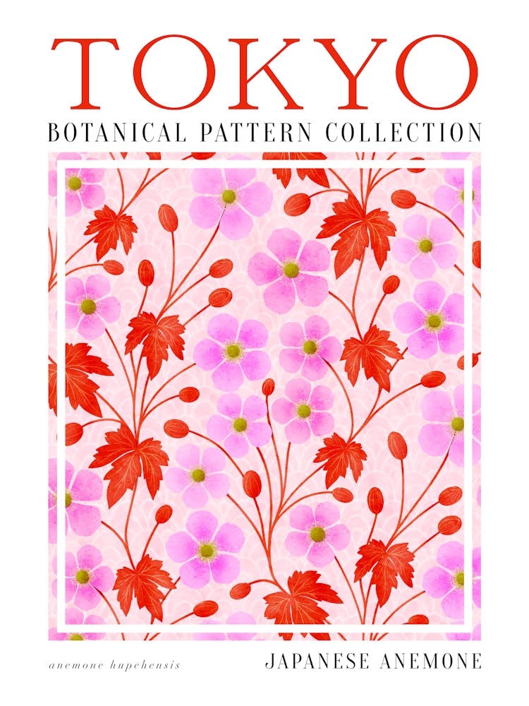 Tokyo Botanical Japanese Aemone