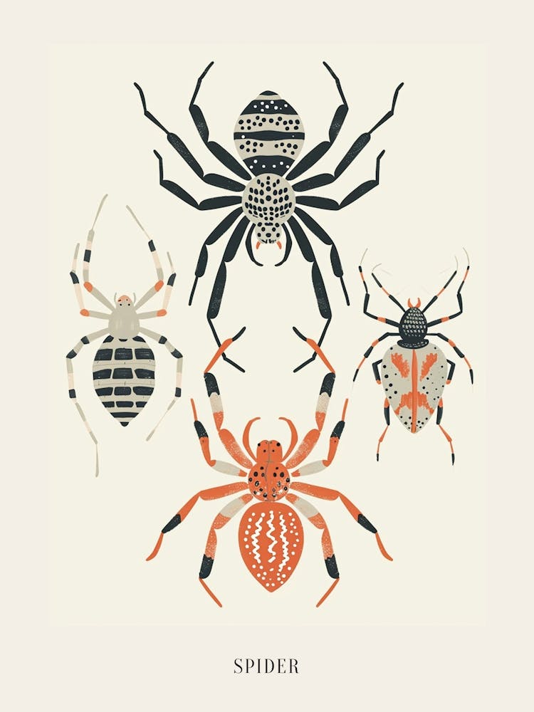 Illustration d'Insectes Colorés Araignée 2 Affiche