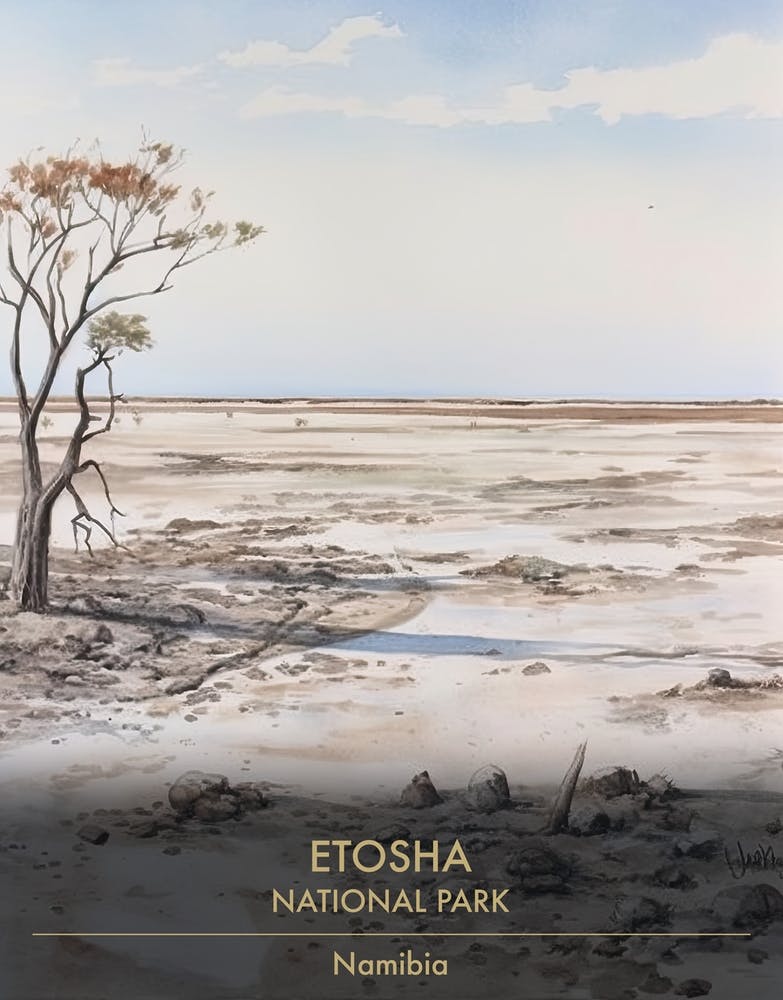 Etosha National Park Namibia Watercolour 2