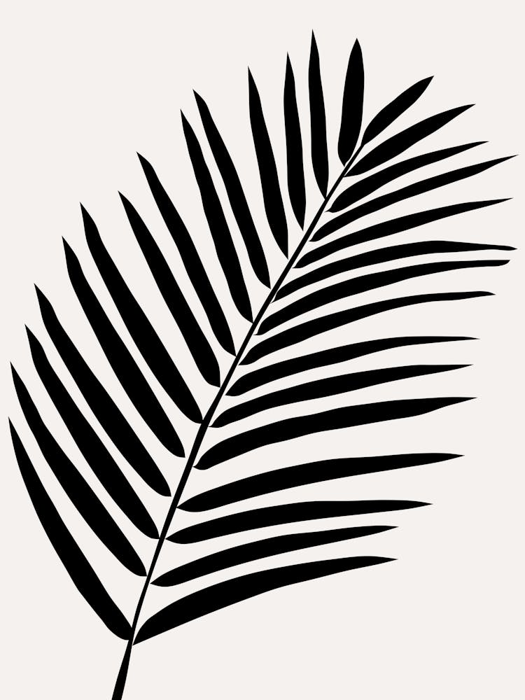 Palm Leaf Cream White And Black