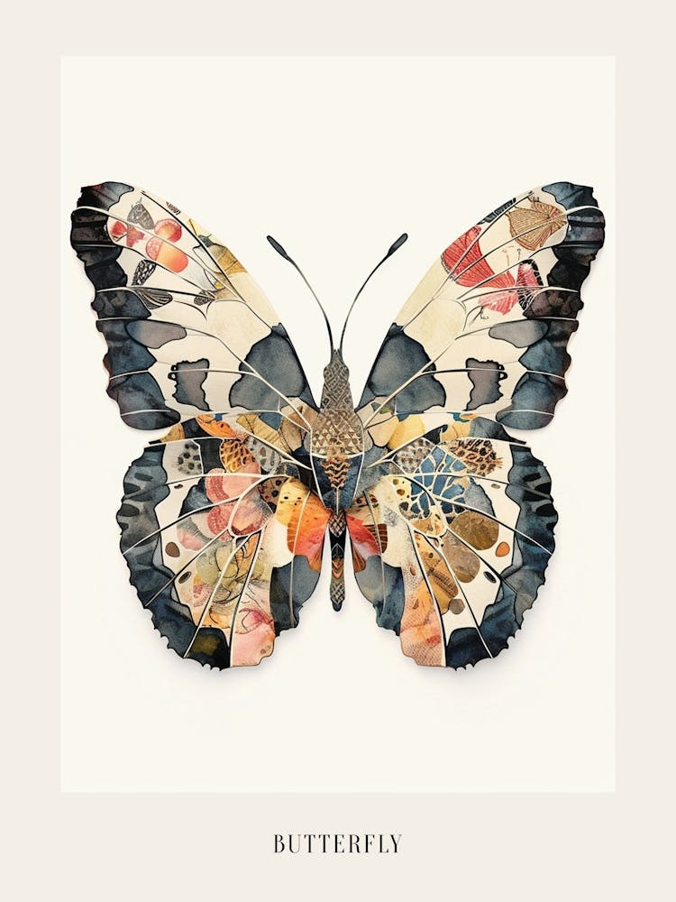 Colourful Insect Illustration Butterfly 33 Poster