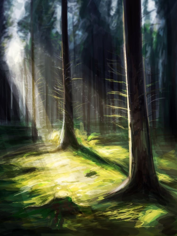 A forest and a sun.