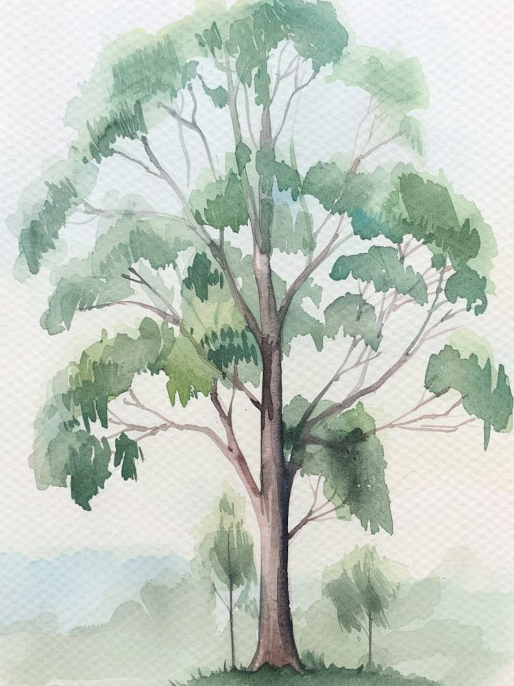 Eucalyptus Tree Atmospheric Watercolour Painting 2