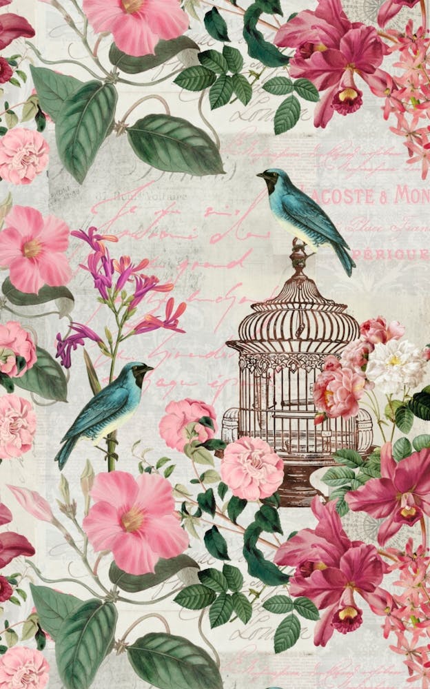 Vintage Birdcage