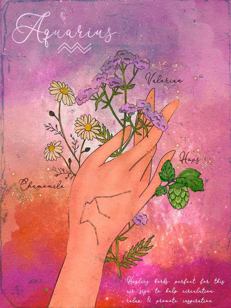 Aquarius Healing Herbs