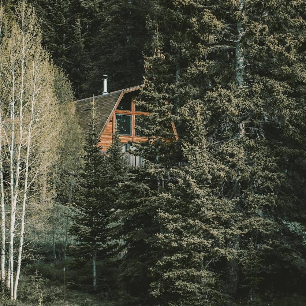 Cabin In The Woods
