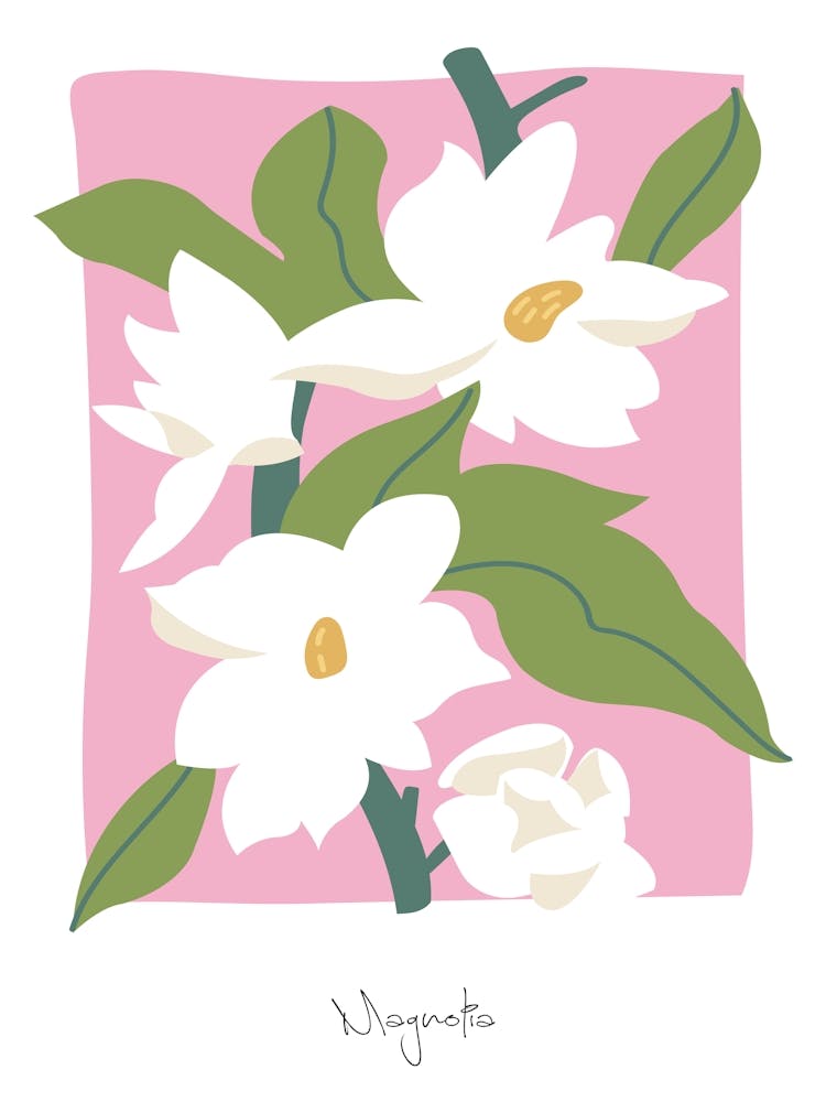 Magnolia Floral