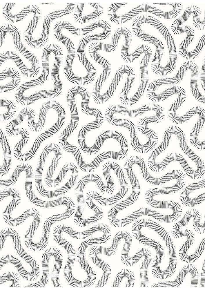 Coral Black And White