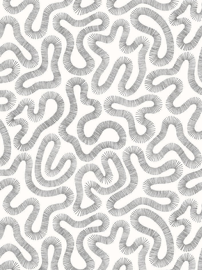 Coral Black And White